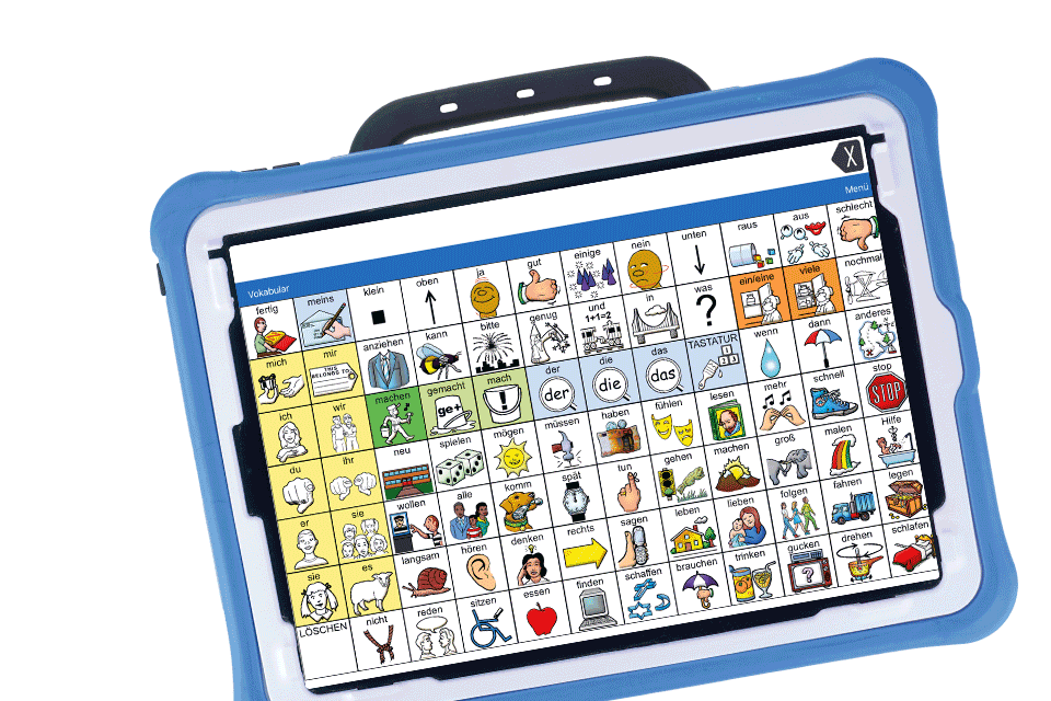 LAMP Words for Life®